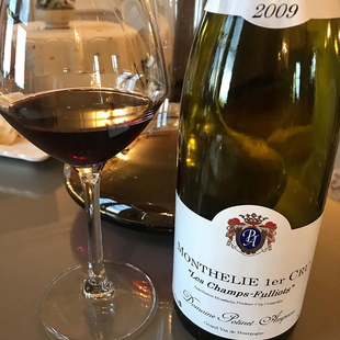 Domaine PotinetAmpeau 珀醍娜昂勃酒庄蒙蝶利村香榭丽园红tls