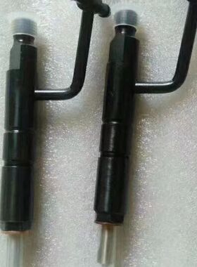 常柴4L68/4G33Tc喷油器总成