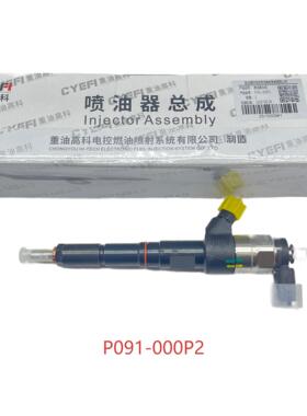 P091-000P2重油喷油器P091-000C8喷油嘴总成 配云内