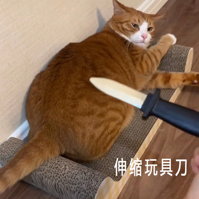 逗猫玩具收缩刀恶搞整人玩具伸缩刺刀假刀玩具表演道具塑料不伤人