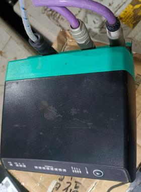 PEPPERL+FUCHS倍加福131631 LS611-D