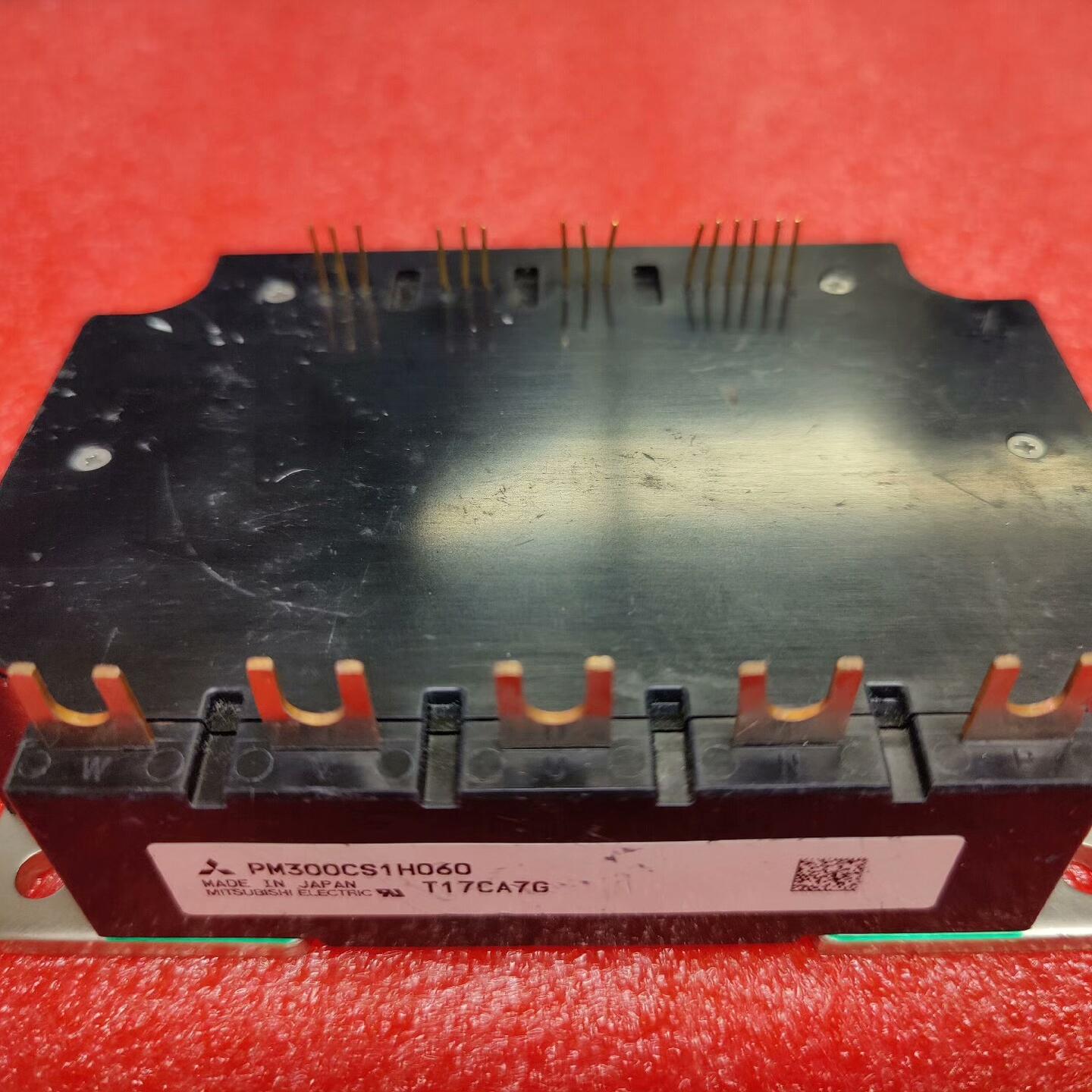 PM300CBS060 / PM300CS1H060