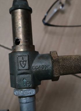 德国 安全阀 TUV-SV CC499K