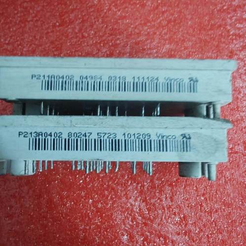 Vinco电源模块 型号P213A0402 P211A040