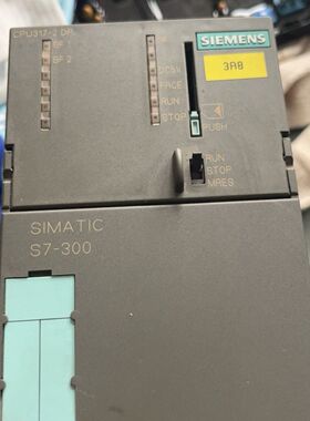 317-2AJ10-0AB0拆机功能正常