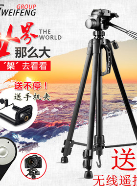 佳能 EOS 600D 650D 760D 90D 80D 77D 6D单反相机三脚架支架