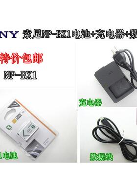 索尼HDRCX405 CX240E  AS10 PJ240相机NPBX1电池+充电器+数据线