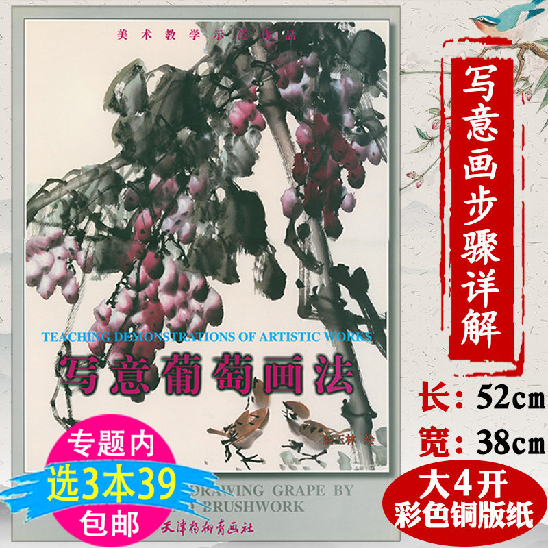 【3本39包邮】写意葡萄画法/写意葡萄水墨画技法教程画集国画入门临摹
