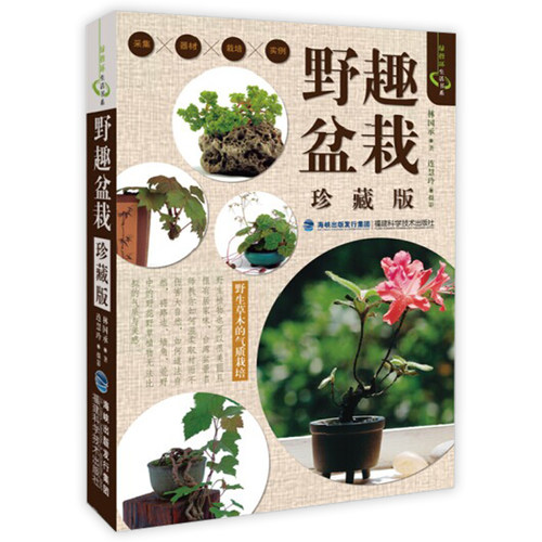 野趣盆栽 珍藏版盆栽观赏园艺书籍小盆栽大自然我的迷你花园图解四季组合盆栽设计与制作养花书籍