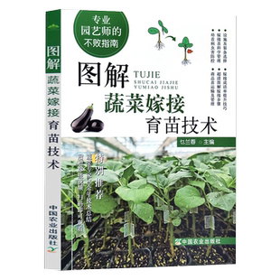 图解蔬菜嫁接育苗技术茄子西瓜番茄黄瓜等蔬菜嫁接栽培种植书籍大全大棚蔬菜无土栽培种植有机蔬菜反季节栽实用培技术农药施肥手册