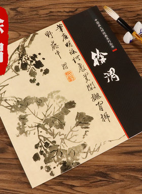 徐渭画册画集 中国画大师经典中国画家名作精鉴徐渭技法艺术书籍徐渭写意花卉杂花山水人物泼墨水墨历代作品绘画青藤白阳陈淳花卉