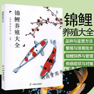 锦鲤养殖技术大全书籍鲤鱼喂养技巧教程饲养殖方法技巧观赏鱼常见疾病防治池塘养鱼观赏鱼书籍 锦鲤养殖大全