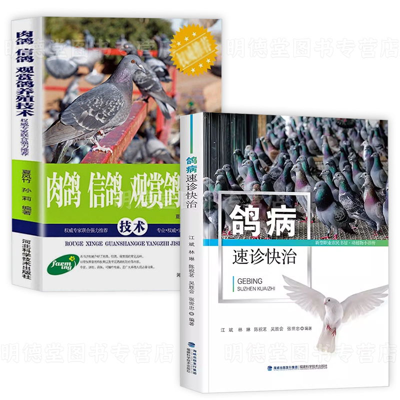 肉鸽信鸽观赏鸽养殖技术+鸽病速诊快治 养鸽新技术鸽子常见病防治大全书籍养鸽设备饲料配比疾病鉴别诊断治疗方法科学饲养管理技巧