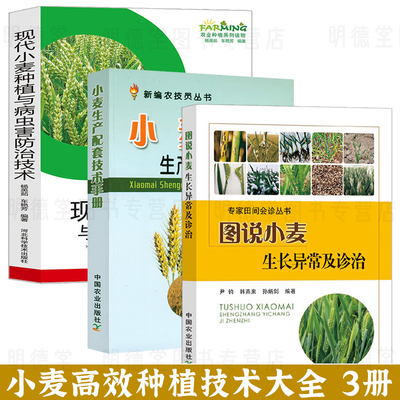 3册图说小麦生长异常及诊治小麦生产配套技术手册现代小麦种植与病虫害防治技术小麦基础知识种植书籍