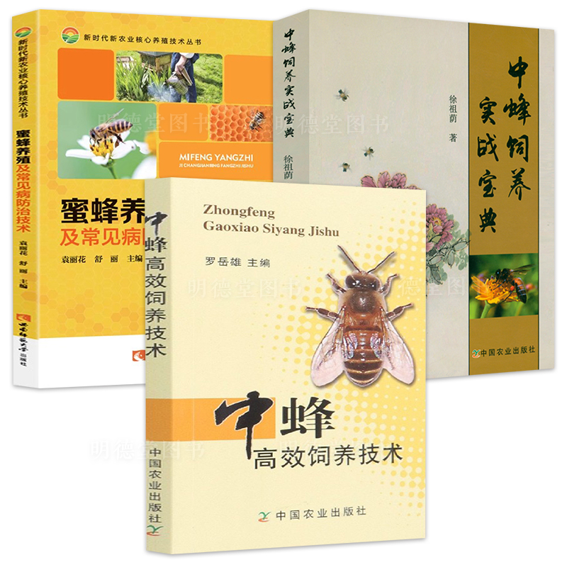 中蜂高效饲养技术实战宝典蜂王培育技术实用养蜂书蜜蜂科学养殖病害防治大全书养蜂技术一本通土蜜蜂中华蜂土蜂饲养新技术实用教程