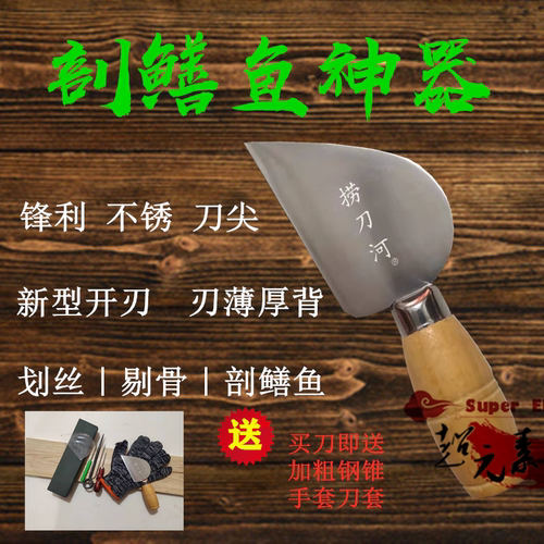 捞刀河破黄鳝刀剖鳝鱼神器