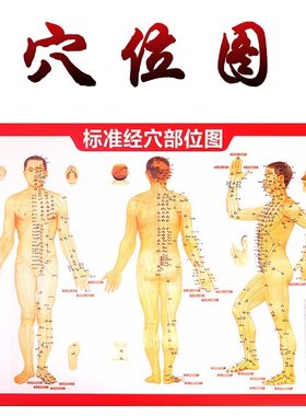 人体经络穴位图足底面部图艾草精油艾灸书经络保健器材搭配收纳袋