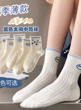 夏季薄款纯棉女士袜子