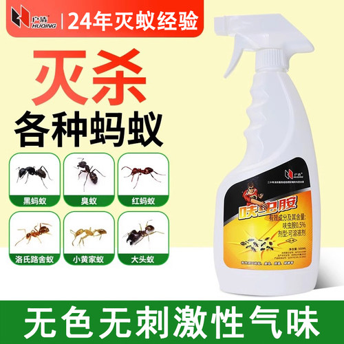户清蚂蚁药传染死亡连锁灭蚁喷剂