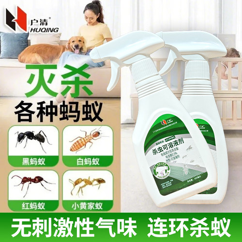 户清蚂蚁药传染灭除小红黄蚂蚁