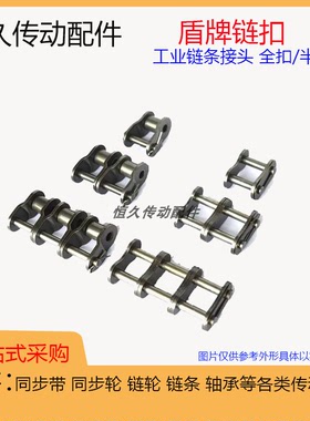 盾牌双排全扣半扣20A 24A 28A 32A 40A/B-2 48A-2 锁扣链条接头
