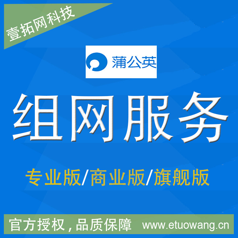蒲公英路由器软件客户端成员组网服务快速稳定组网适用X1X3X5X4G5