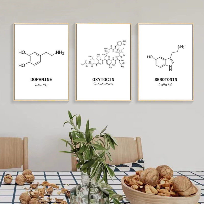 多巴胺化学分子结构装饰画
