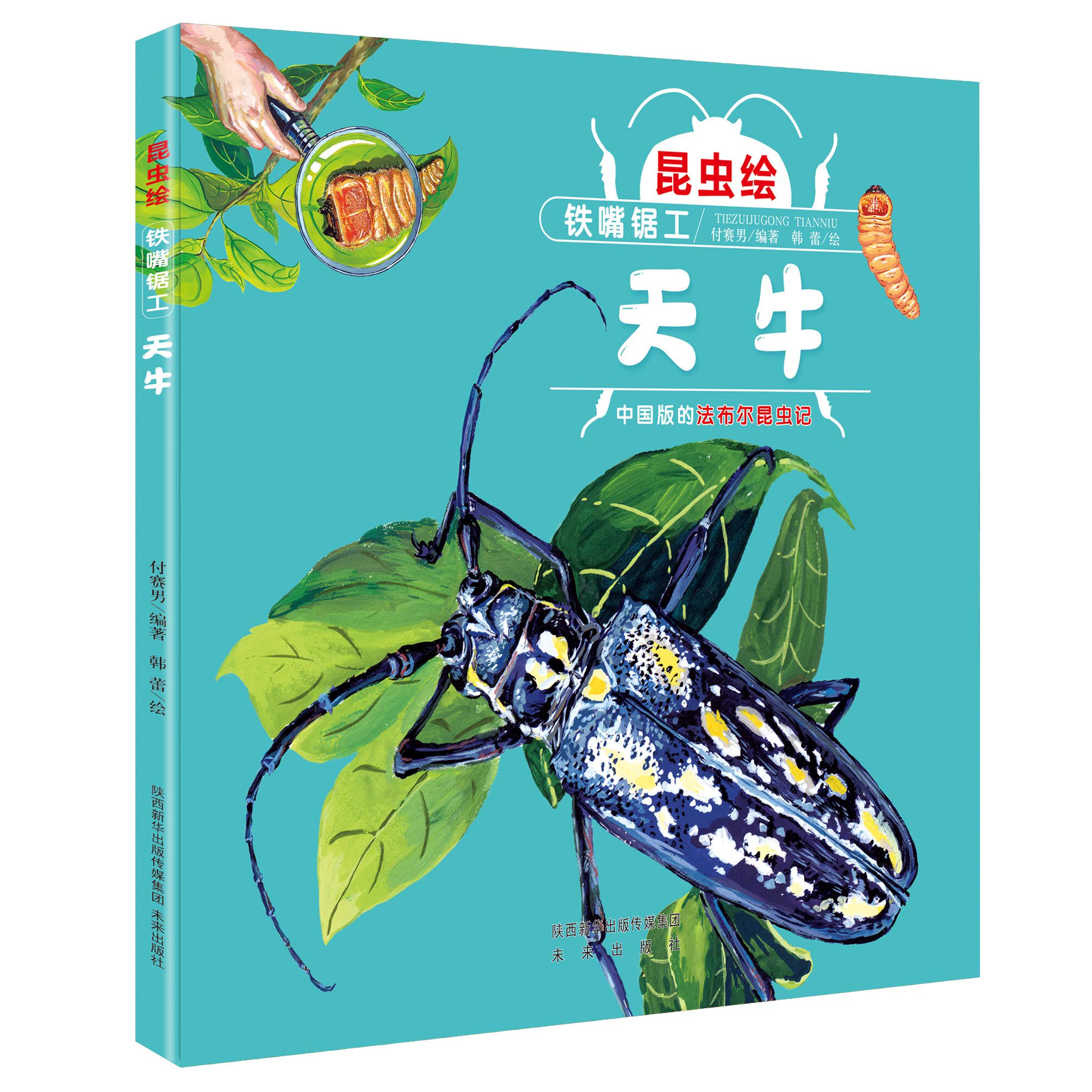 昆虫绘  铁嘴锯工——天牛  法布尔昆虫记改编的精细手绘本