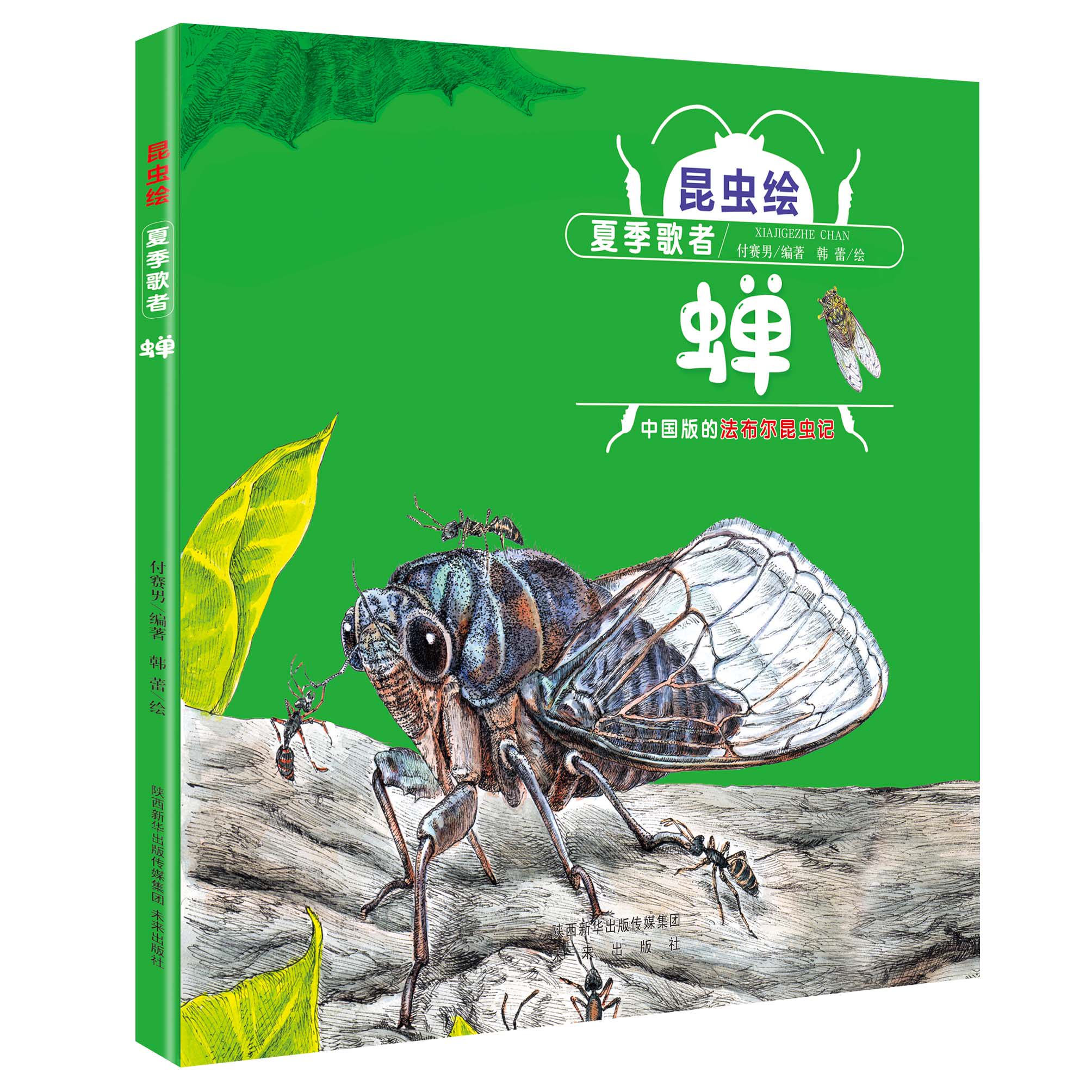昆虫绘  夏季歌者——蝉    法布尔昆虫记改编的精细手绘本 教育部遴选 幼儿图画书