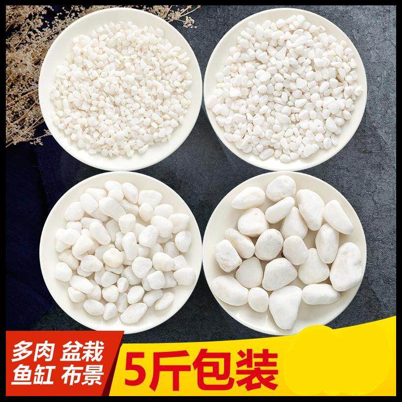 多肉植物花盆栽鋪面石石頭子彩石子白色小石子魚缸裝飾造景裝飾鋪在類目 鮮花速遞/花卉仿真/綠植園藝, 園藝用品, 其它園藝用品中 - 來自Buy2taobao.com提供專業的淘寶代購服務