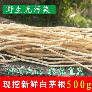 野生新鲜白茅根甜草根500g茅草根洗净去皮毛草根两斤包邮
