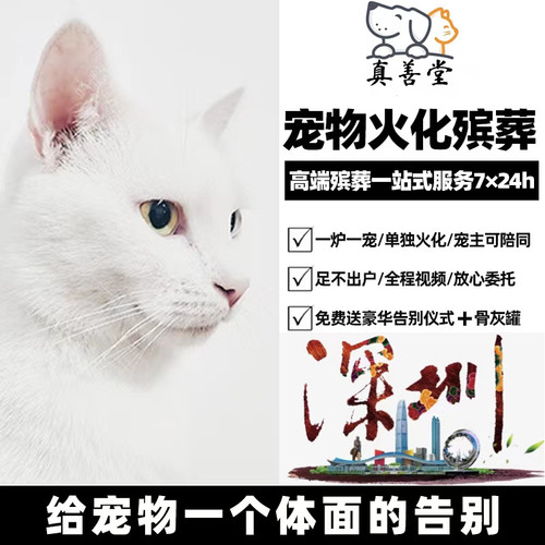 宠物火化销量排行榜 宠物火化品牌热度排名 小麦优选