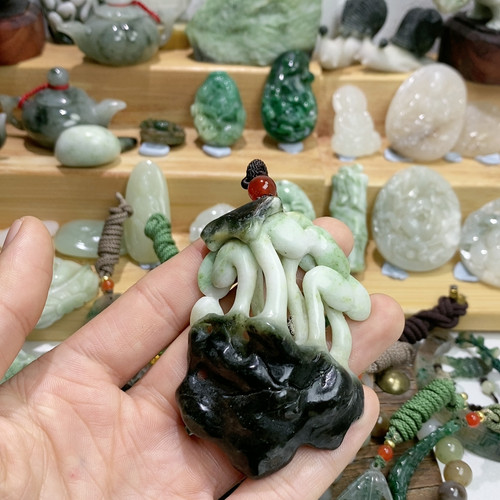 豆芽