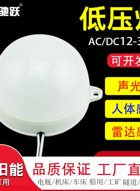 楼道过道走廊农村公共厕所太阳能电瓶低压ACDC12V24V36V声光控灯