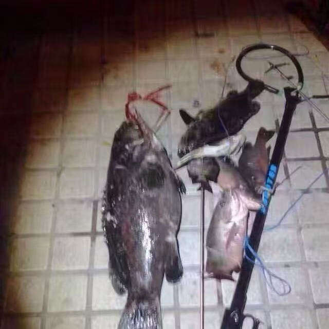 潜水鱼枪配件 潜水射鱼枪管带槽  潜水射鱼器配件Diy 非柚木鱼枪