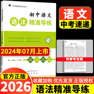 新版中考速递初中语文语法精准导练凡广伟主编辽海出版社初中语文语法专项知识总结习题专项语文语法一本全国通用