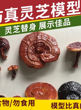 喜花郎仿真灵芝模型摆件
