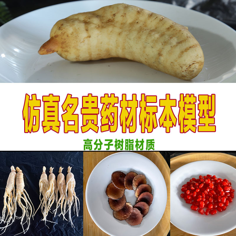 仿真中药材食药同源模型标本