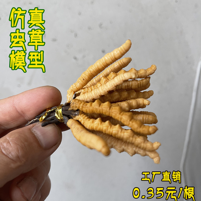 仿真冬虫夏草模型参茸药材店柜台摆样名贵中药材展示假样品