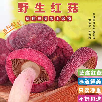 福建三明正宗野生红菇南北干货红椎菌滋补正红蘑菇月子菇小红菇