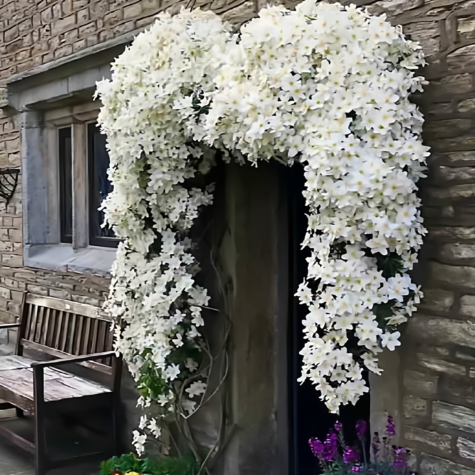 雪崩铁线莲花庭院爬藤攀援植物花卉阳台盆栽好养绿植庭院大花四季,鲜花速递/花卉仿真/绿植园艺,绣球/木绣球/木本植物,淘宝优惠券,粉丝福利购,淘宝优惠卷