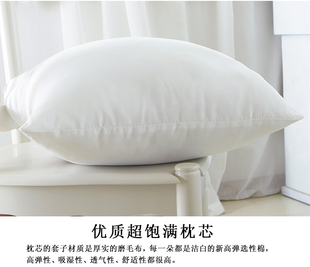 6565 6060 4055 5555 沙发抱枕芯子靠垫芯子腰枕头芯大靠枕芯4545
