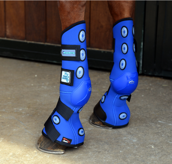 VEREDUS磁疗马护腿马术用品