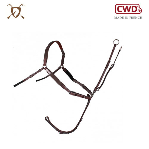 法国cwd进口马胸带 五点胸带常规款（弹力款）马匹装备 马术用品