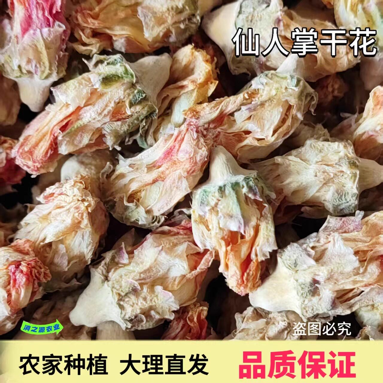 高品质仙人掌干花新鲜采摘自然风干无添加养胃花茶低糖养生中药材