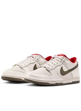 Nike耐克春季DUNK运动鞋休闲鞋板鞋IQ9793-020