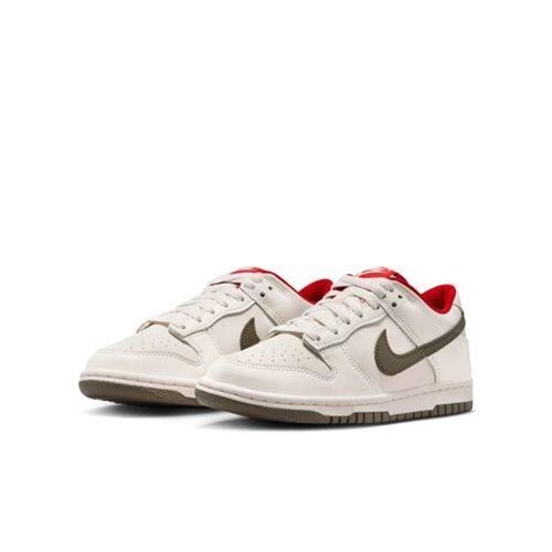 Nike耐克春季DUNK运动鞋休闲鞋板鞋IQ9793-020
