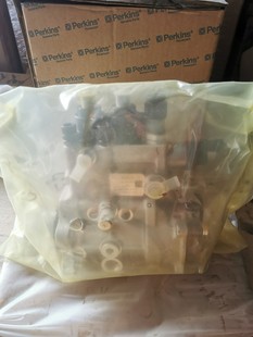 T410930帕金斯柴油泵总成适配TCM叉车珀金斯发动机1104D E44T