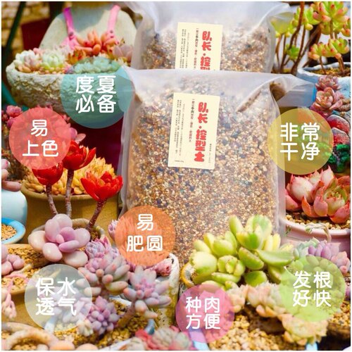 队长家多肉韩国进口专用营养土