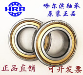 6007RS轴承 6001 HRB 哈尔滨轴承 6004 6000 6003 6006 6002 6005